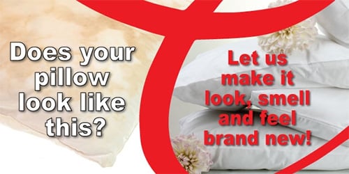Professional pillow cleaning graphic from Clothesline Cleaners